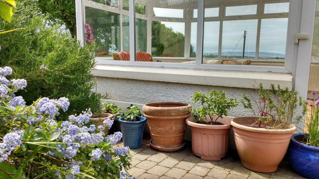 Bed and Breakfast Rush View Portrush Esterno foto
